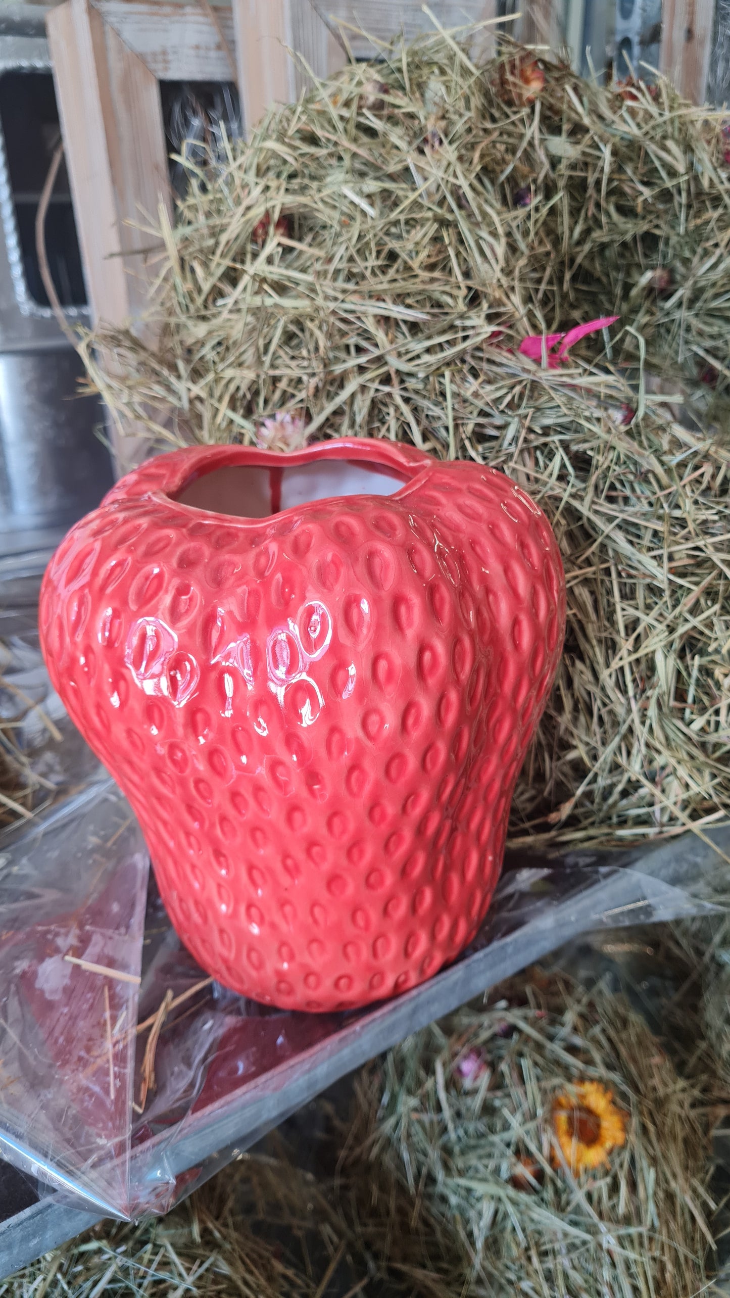 Erdbeer-Vase